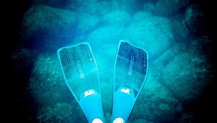 snorkeling_fins
